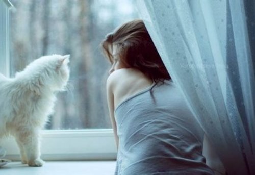 Девушка облокотилась на подоконник со своей белой кошкой