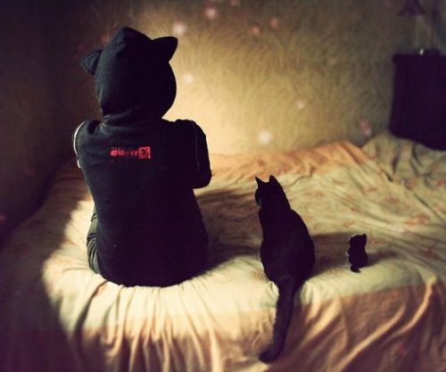 Девушка в кофте с кошачьими ушками сидит спиной с кошкой и игрушечным котом