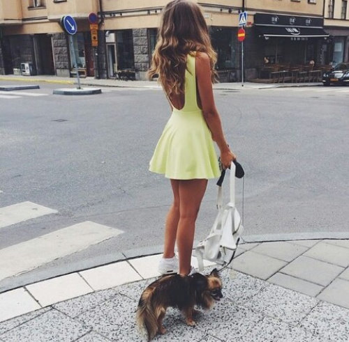 девушка с собачкой на поводке возле пешеходного перехода