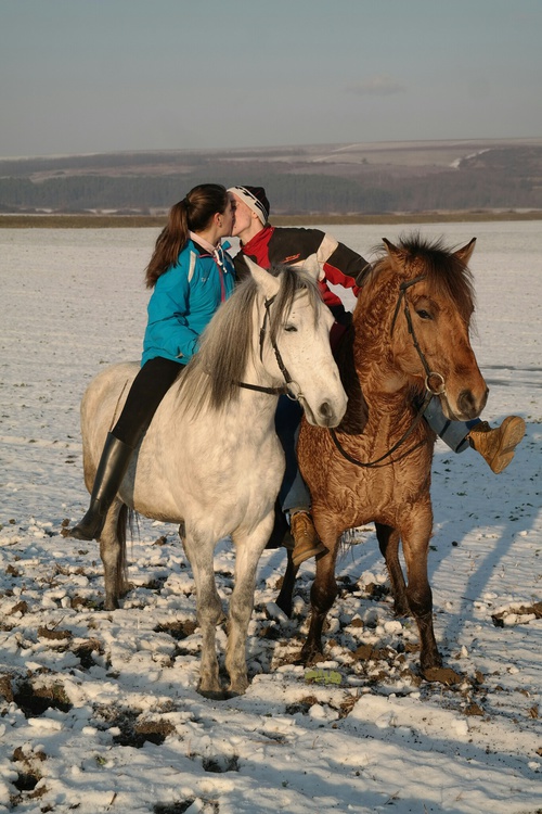 влюбленные на лошадях зимой