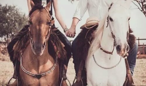 влюбленная пара на лошадях держась за руки