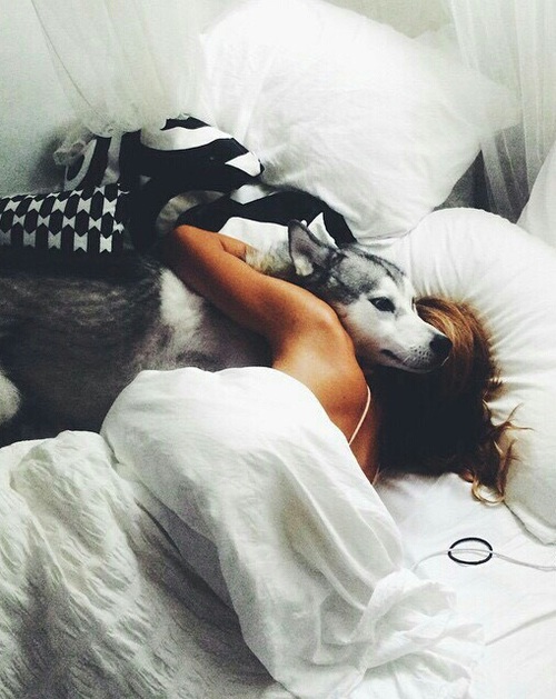 девушка обнимает собаку в кровати без лица