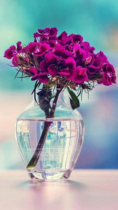 фиолетовые цветы в прозрачной вазе