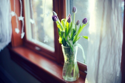 тюльпаны на подоконнике в прозрачной вазе