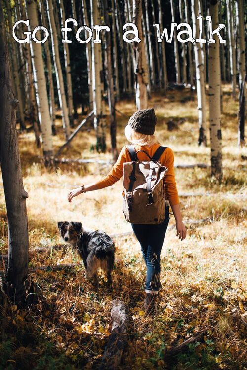 девушка с собакой в осеннем лесу