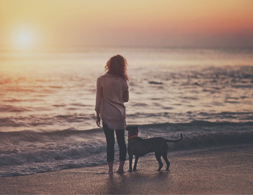 девушка выгуливает собаку у моря на закате солнца