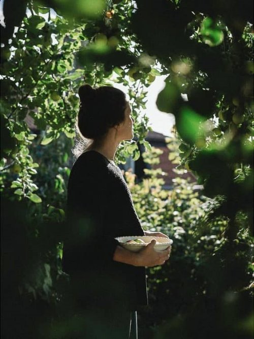девушка собирает яблоки в фруктовом саду