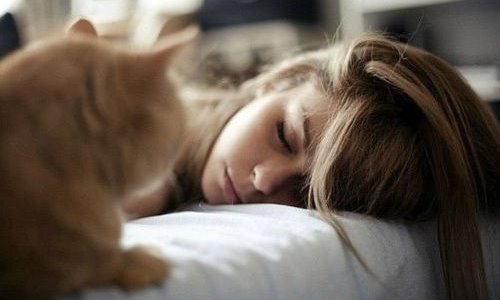 девушка спит рядом с ней сидит рыжий кот
