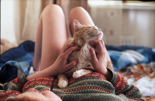 девушка в свитере с рыжей кошкой на груди лежит на кровати