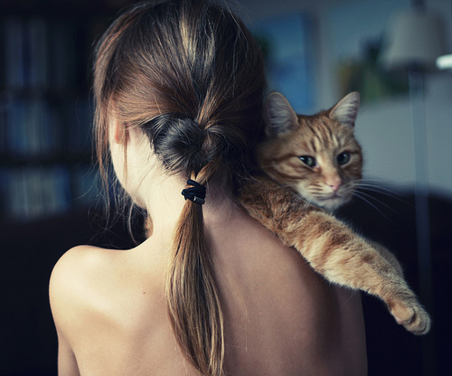 девушка с косой с рыжим котом на плече спиной без лица домашнее фото