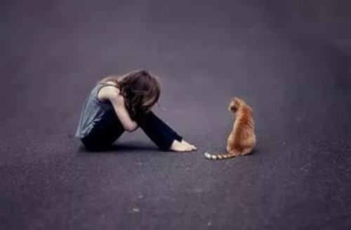 поддержка от рыжего кота девушки в депрессии