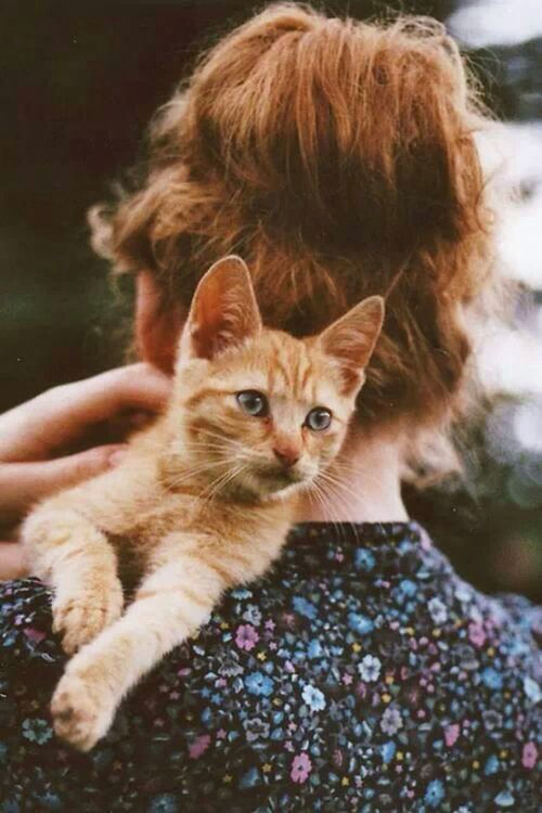 девушка без лица с рыжим котенком на плече со спины