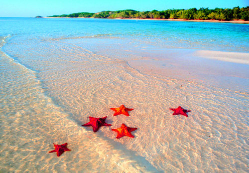 лето море морские звезды картинки для пабликов только самые лучшие