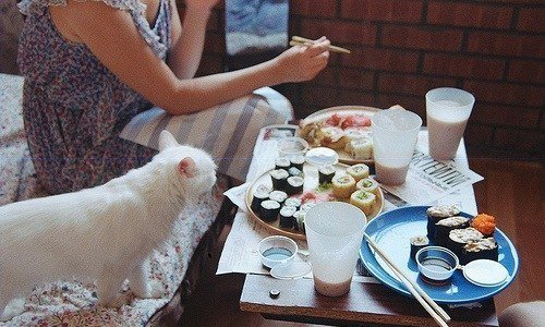 девушка на кровати с белой кошкой кушает суши