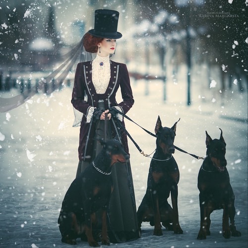 девушка в шляпе с тремя доберманами под снегом