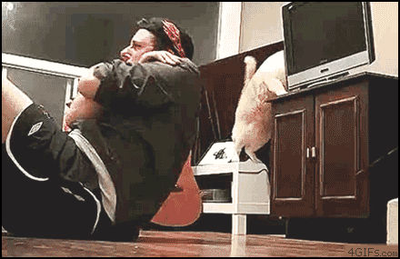 мужик качает пресс, а кошка сбрасывает на него телевизор