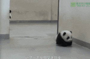 анимация с пандами