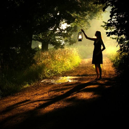 силуэт девушки в лесу с фонарем ранней осенью