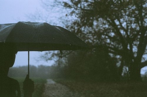 девушка под зонтом на тропинке