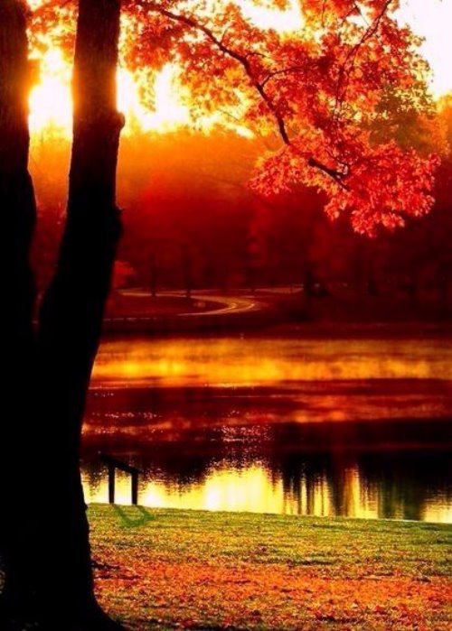 огненно красная осень на фотографии