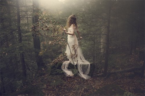 девушка в белом платье с веткой дерева с сухими листьями в парке на пеньке