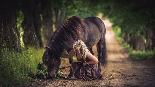 девушка кормит лошадь в парке идеи для фотосессии