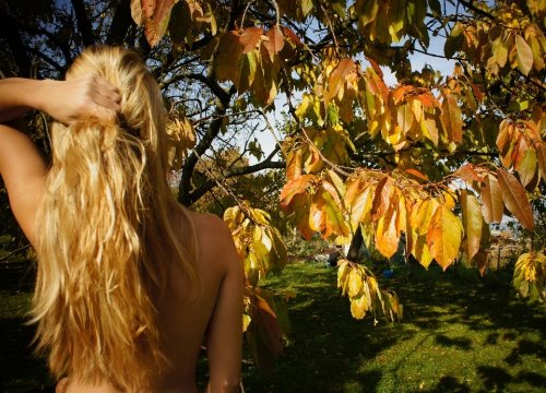 девушка собрала волосы как желтые листья спиной