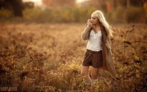 блондинка в поле осенью в пасмурную погоду
