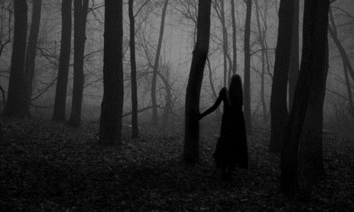 силует девушки в длинном черном платье среди голых деревьев ночью в тумане