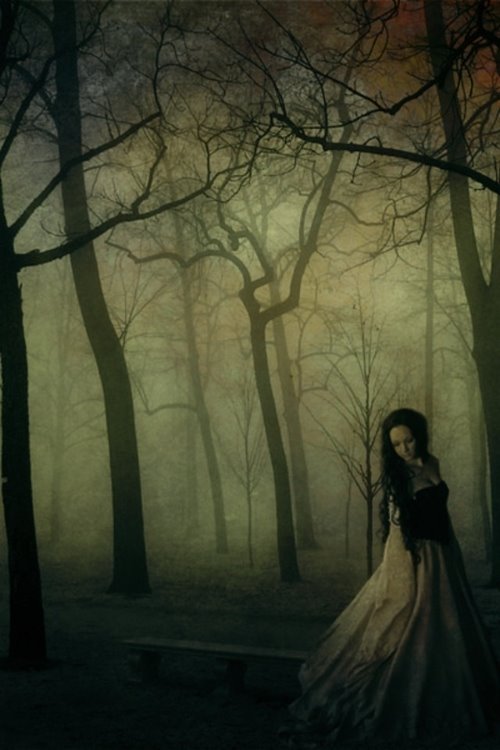 девушка в платье в темном лесу