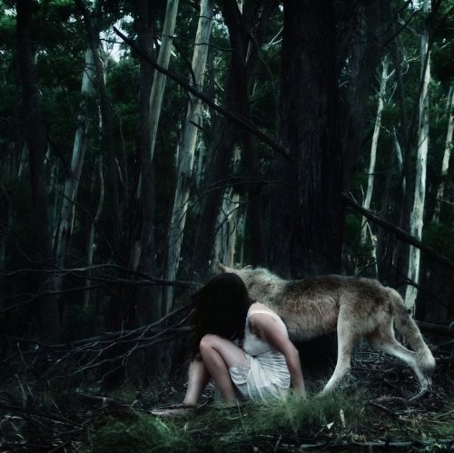 девушка с волком в темноте в лесу