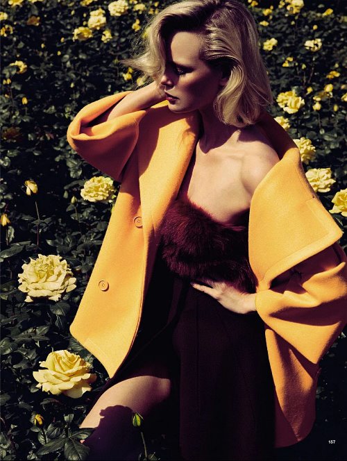 эфектная блондинка среди желтых роз под лучами солнца