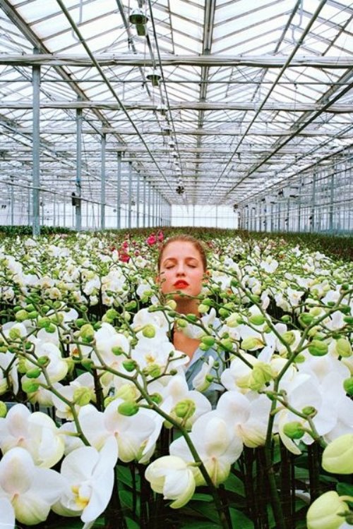 лицо девушки утопающей в орхидеях в оранжерее