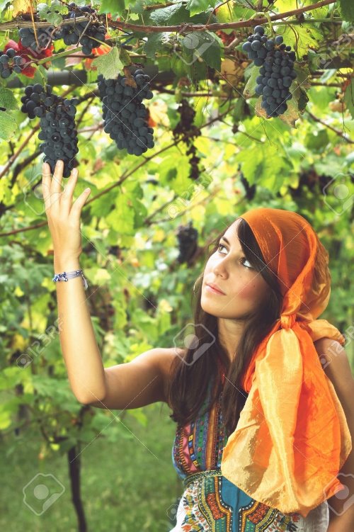 девушка в оранжевом платке среди темного винограда