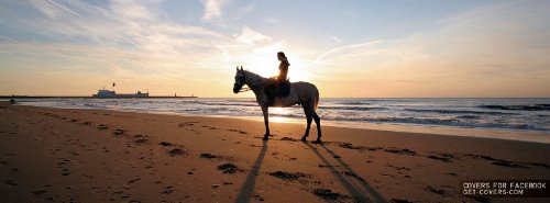 силуэт девушки на лошади на пляже вечером