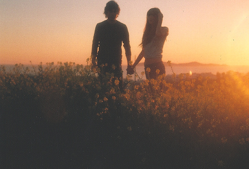 пара держится за руки в поле желтых цветов на закате не видно лиц