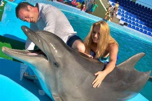 купание с дельфинами на годовщину романтический подарок