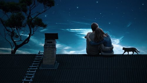 влюбленные сидят на крыше с кошкой ночью