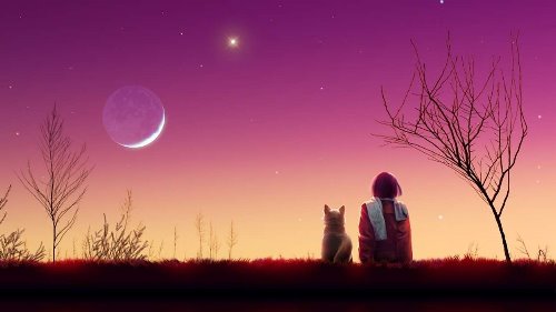 человек и кот сидят смотрят на луну