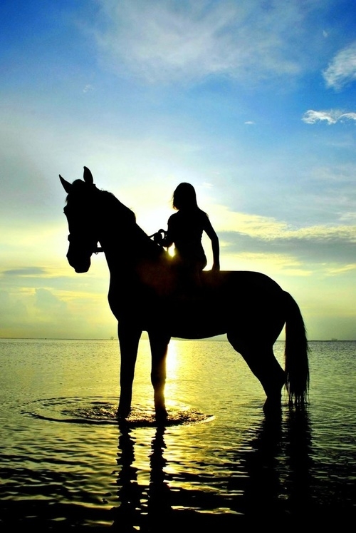девушка с лошадью в море на закате