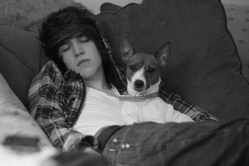 красавчик спит с собакой