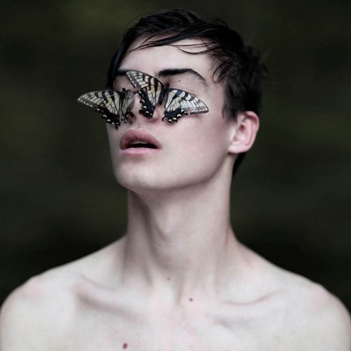 бабочки на лице темноволосого парня