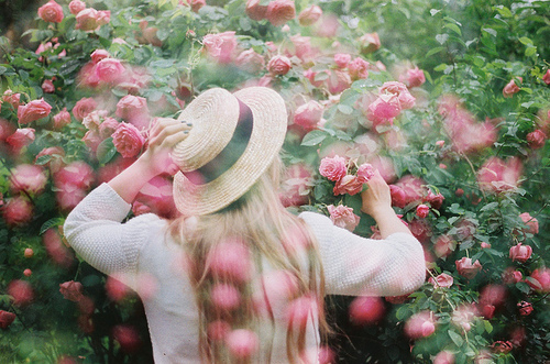 девушка в шляпе и белой кофте возле куста чайной розы