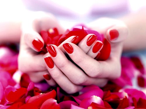 красные ногти с красными лепестками роз в руках