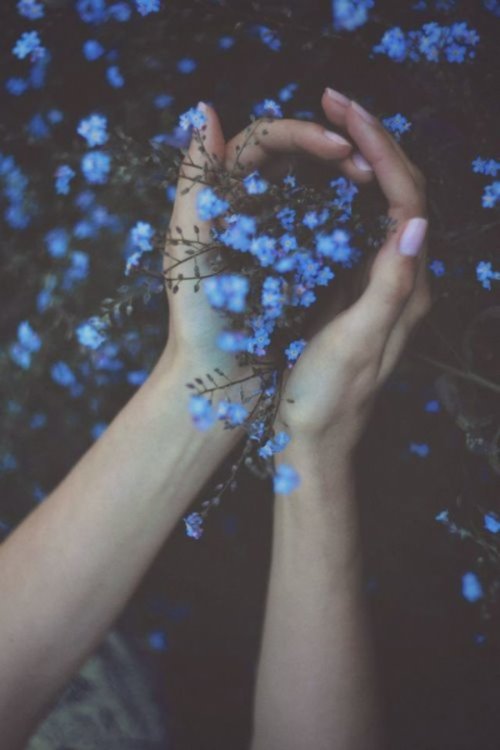 девушка обнимает синие цветы незабудки