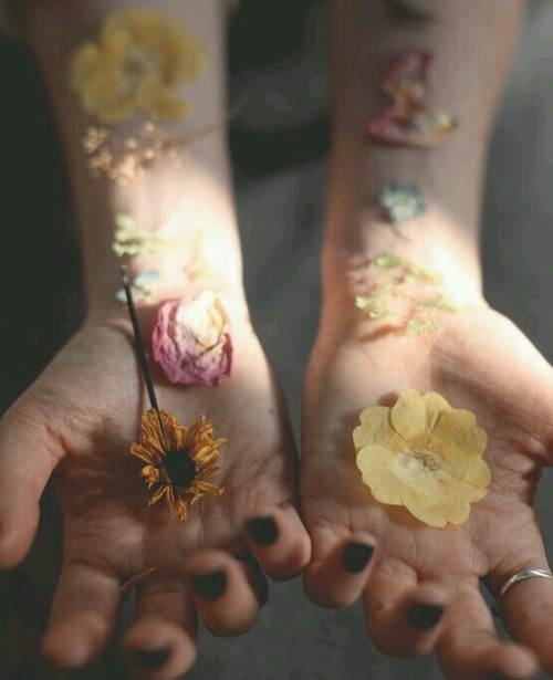 засушенные цветы на руках
