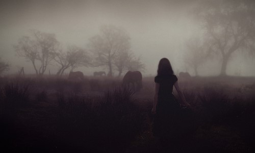 брюнетка со спины в тумане смотрит на пасущихся лошадей