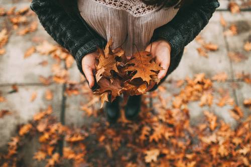 девушка в сером теплом свитере и легкой шифоновой маечке держит в руках осенние дубовые листья вид сверху