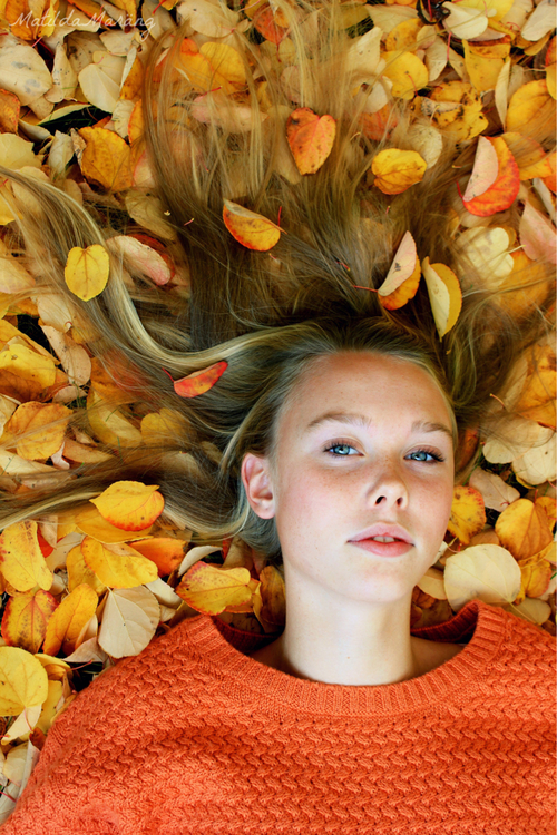 курносая синеглазая блондинка в оранжевом вязаном свитере разложила волосы среди желтых листьев