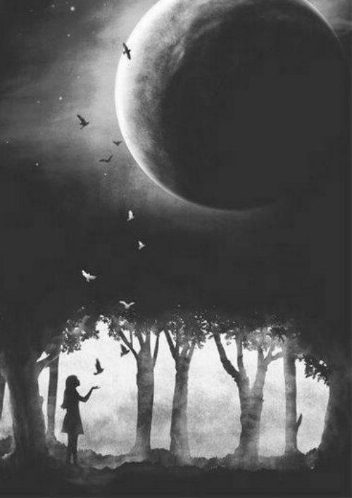 нарисованная девушка с птицами в лесу ночью под луной